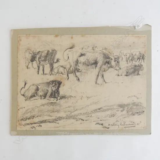 H. L. RICHARDSON SKETCH CATTLE SIGNED 185 X 250mm