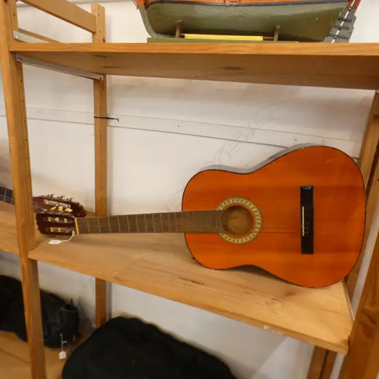 ACOUSTIC GUITAR w SOFT CASE