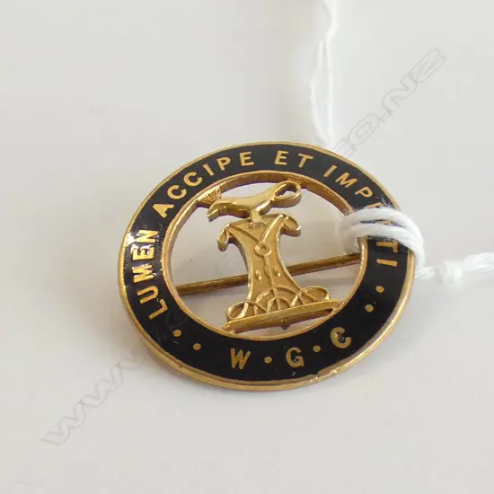 9CT WELLINGTON GIRL'S COLLEGE BADGE 'LUMEN ACCIPE...'