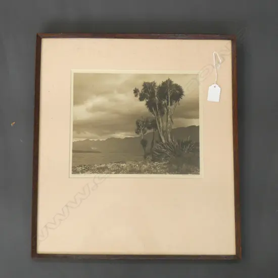 GEORGE CHANCE B&W VINTAGE PHOTO 'THE SENTLENELS LAKE HAWEA'