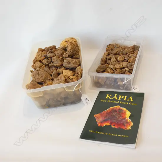 2 TRAYS OF KAURI GUM AMBER + BOOKLET