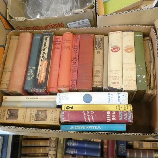 BOX LOT ANTIQUE BOOKS EX. HIGHWIC HOUSE
