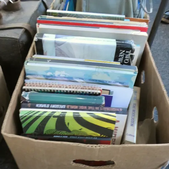 BOX LOT BOOKS; NZ ART