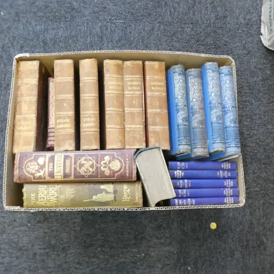 BOX LOT ANTIQUE BOOKS EX. HIGHWIC HOUSE