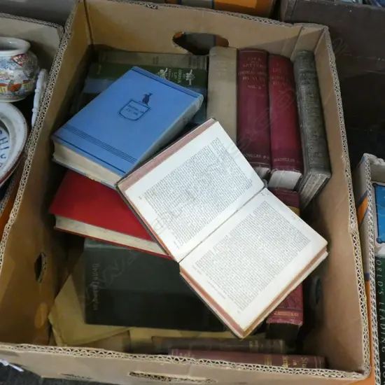 BOX LOT VINTAGE BOOKS EX. HIGHWIC HOUSE INCL. 'OLD NZ' BY 'A PAKEHA MAORI'