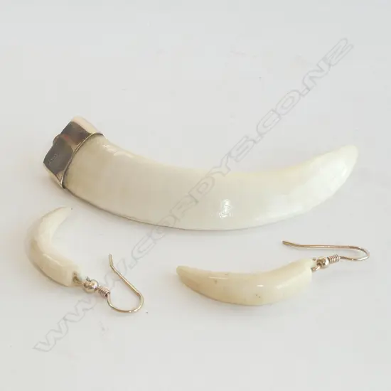 9CT BOAR’S TUSK PENDANT WITH EARRINGS ON 9CT WIRES.