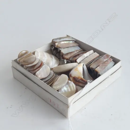 MOTHER-OF-PEARL JEWELLERY: 2 BRACELETS. EARRINGS & RING