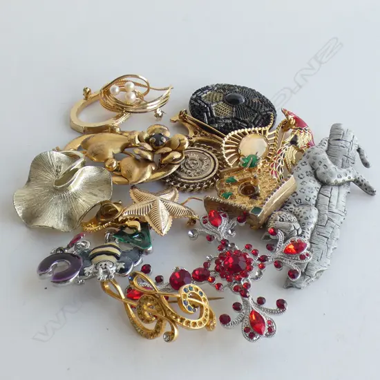 BAG ASST COSTUME JEWELLERY BROOCHES 