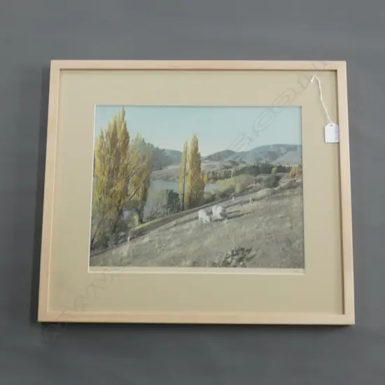 WHITE AVIATION LAKE HAYES SIGNED LABELLED 290x36mm