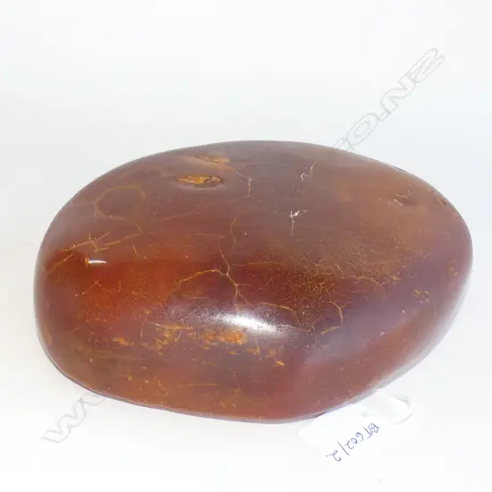 LARGE PIECE OF KAURI GUM 245x190x60mm 2KG APPROX