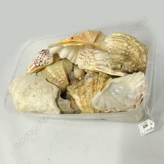 TRAY OF ASST. SHELLS 