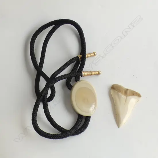 SHARK TOOTH & WHALE TOOTH BOLO TIE