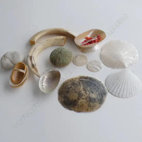 SEL. MOP RING + SALTS ETC + TUSKS SHELLS CORAL BEADS ETC