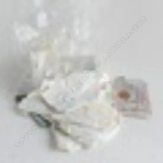 BAG ASST MIXED WORLD COINS