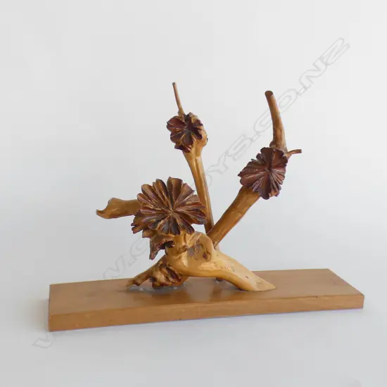 DACTYLANTHUS WOOD ROSE SPECIMENS X3 ON BOARD L.410mm