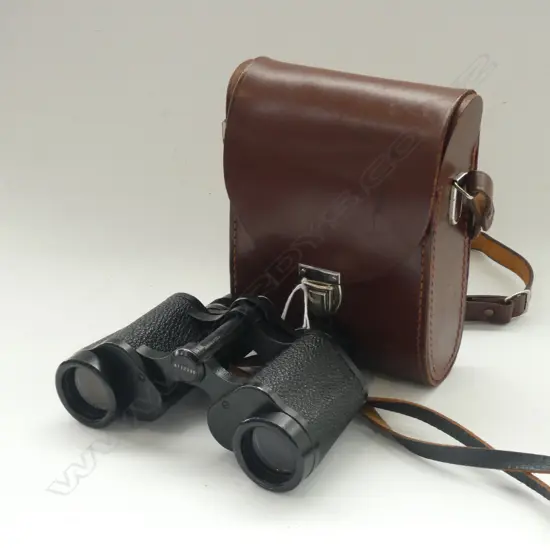 CARL ZEISS JENA 8x30W BINOCULARS, CASED