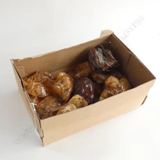 GOOD BOX LOT POLISHED KAURI GUM NUGGETS 