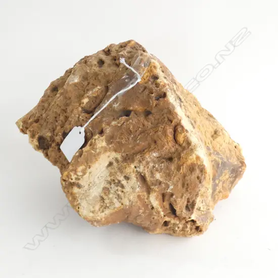 LG KAURI GUM NUGGET  APPROX 300 X 190MM