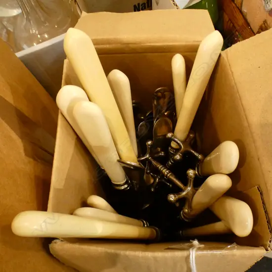 BOX LOT OF CUTLERY NICKEL FORKS AND FAUX BONE HANDLED KNIVES
