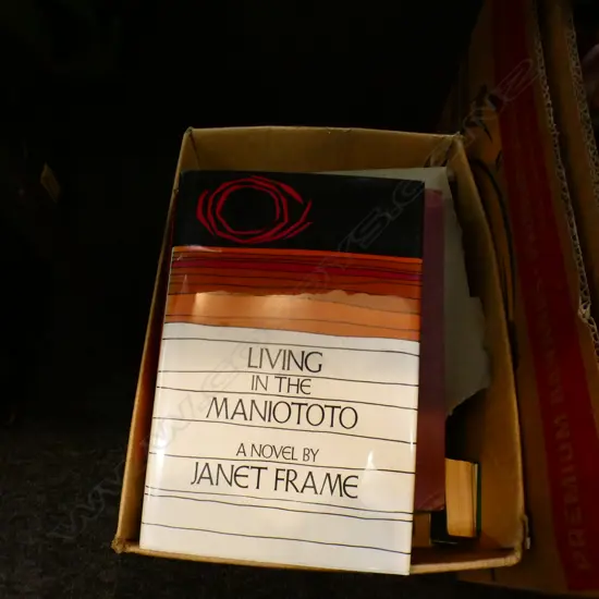 BOX LOT NZ THEMED BOOKS