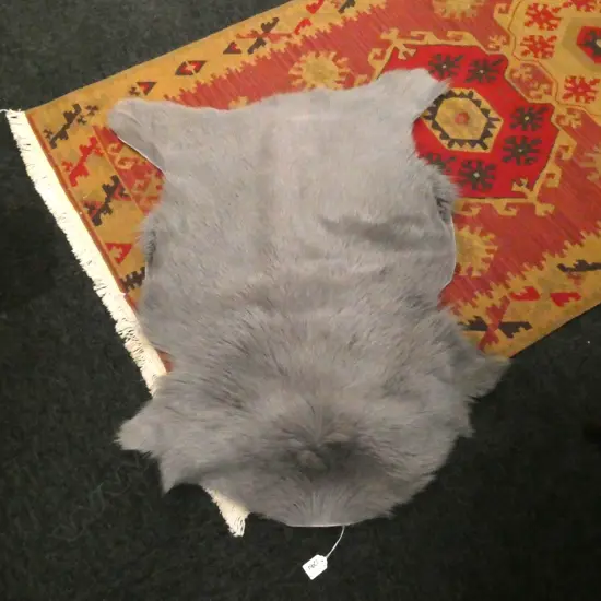 HIMALAYAN GOAT HIDE IN DOVE GREY 900x550mm