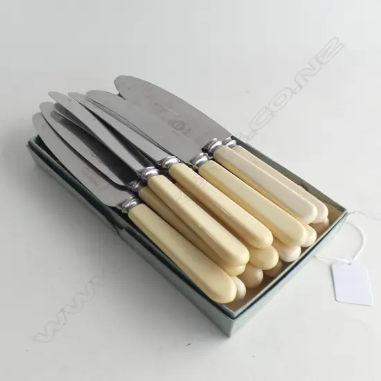 16 BONE HANDLED KNIVES (6 CASED + 6 + 4)