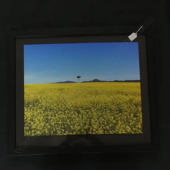LG FRAMED PHOTO PRINT - FIELD OF YELLOW FLOWERS  480 X 400MM