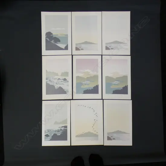 NINE TONY LESLEY NZ SCREENPRINTS LTD ED UNFRAMED 25 x 160mm