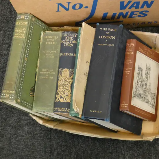 BOX VINTAGE ENGLISH TRAVEL BOOKS /NATURE WITH ILLUST & SOME MAPS