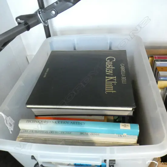 BOX MODERN ART BOOKS. KLIMT. RENOIR ETC 