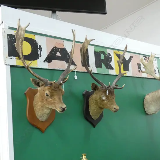 VINTAGE 'DAIRY' SIGN 2450x310mm