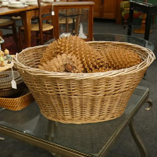 BASKET w. GIANT COULTER PINE CONES