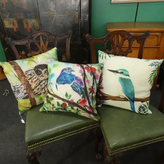 3 BIRD CUSHIONS; OWL, KINGFISHER & KERURU 