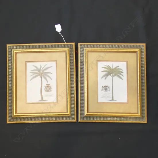 PR GILT FRAMED VINTAGE PALM PRINTS 130 X 180MM