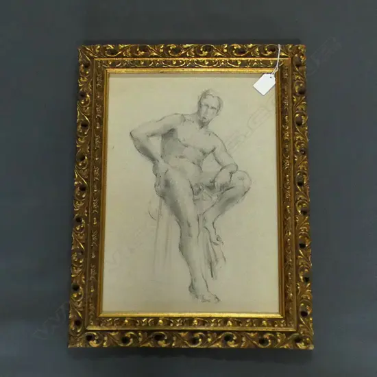 ARTIST UNKNOWN  MALE NUDE STUDY  PENCIL DRAWING  270 x 390mm 