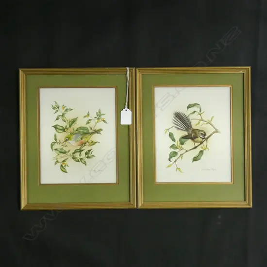 PR WATERCOLOURS 'PIED FANTAIL (PIWAKAWAKA) & SILVEREYE (TAUHOU) BY LINDSAY POPE  165 X 210MM