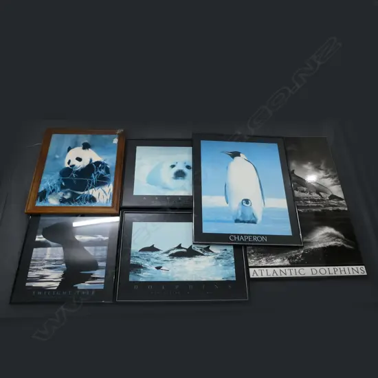 6 ASST ANIMAL PRINTS DOLPHINS ETC ONE GLASS A/F H 880 MM