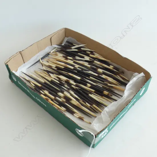 PORCUPINE QUILLS ASST. LENGTHS 