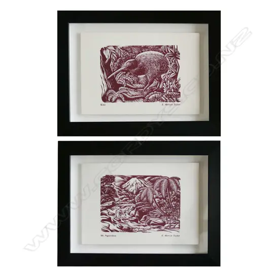 PR FRAMED E. MERVYN TAYLOR GREETING CARDS 'MT. NGAURUHOE' & ' KIWI' - EACH 100 X 145MM 