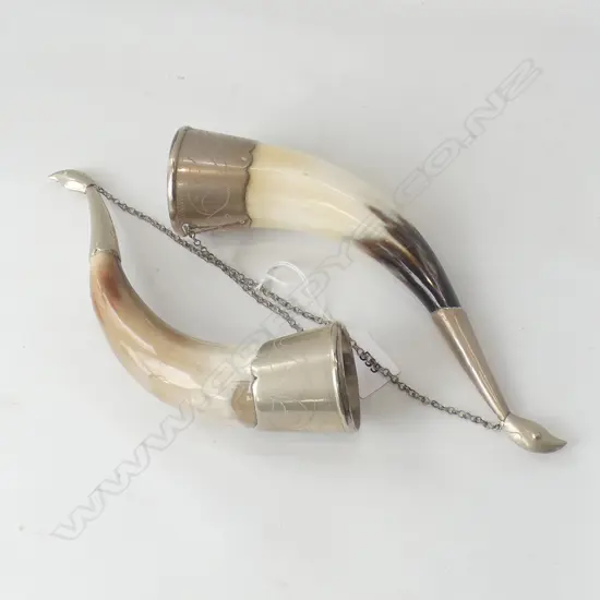 PR WALL HANGING HORNS WITH EP ENGRAVED TIPS & ENDS L260MM