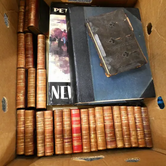 BOX LOT BOOKS; PETER MCINTYRES 'NZ' & 'PACIFIC' + ANTIQUE WALTER SCOTT ETC