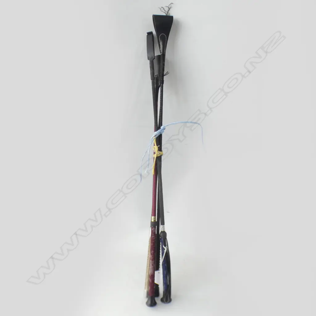 4 ASST OLD HORSE WHIPS Image 1++