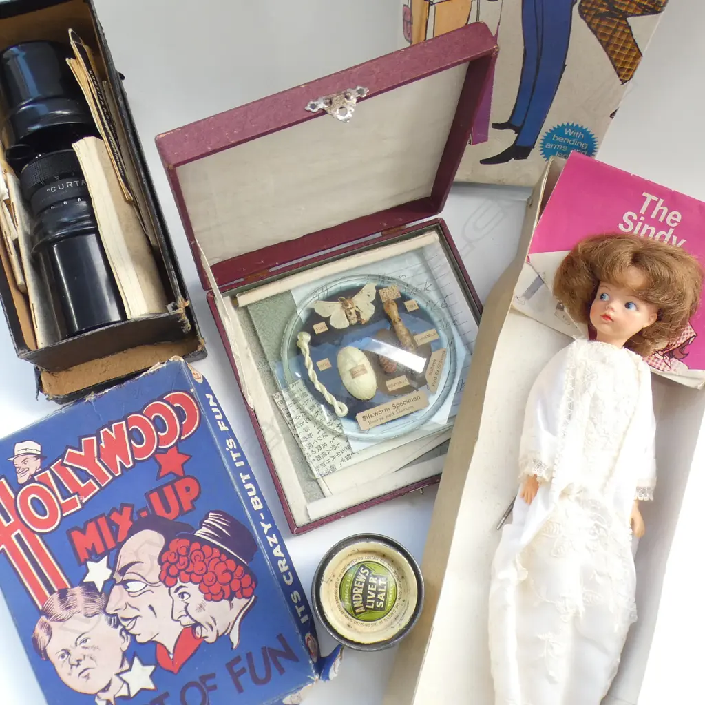 BOX LOT 5 ITEMS INCL OLD CALCULATOR HOLLYWOOD MIXUP BOXED SILWOOD LIFE SPECIMEN Image 1++