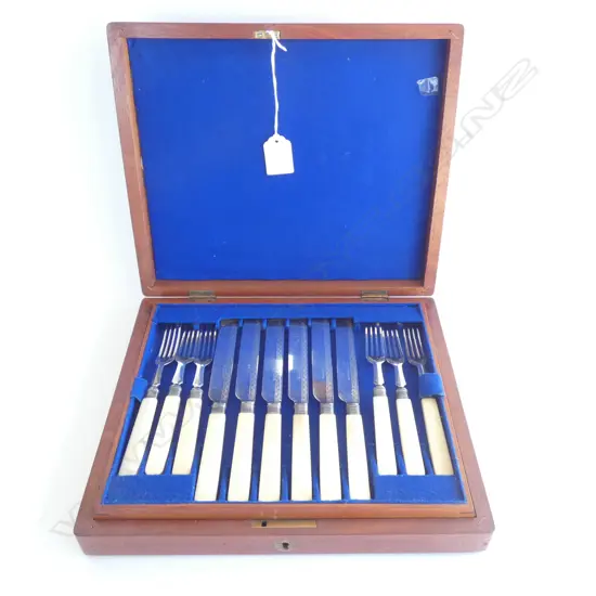 CASED SET OF 'BONE' HANDLED FISH KNIVES 