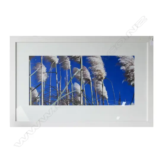 JO BLAKEMORE, 'TOI TOI', PRINT ON CANVAS, 1020 X 640MM INC. FRAME