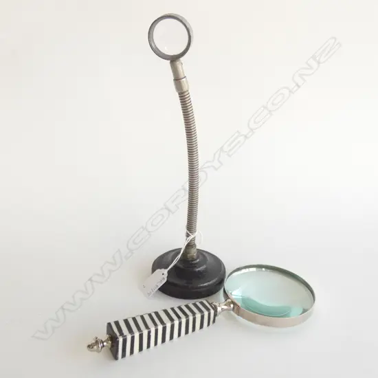 2 MAGNIFYING GLASSES ONE ON FLEXIBLE STAND H.300mm