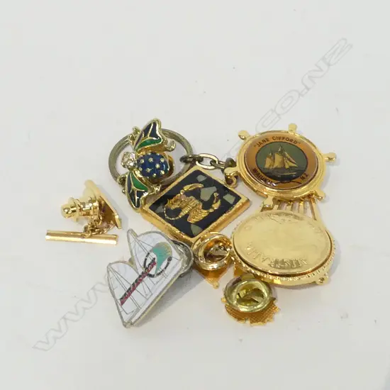 7 COLLECTABLE PINS & 1 KEYRING