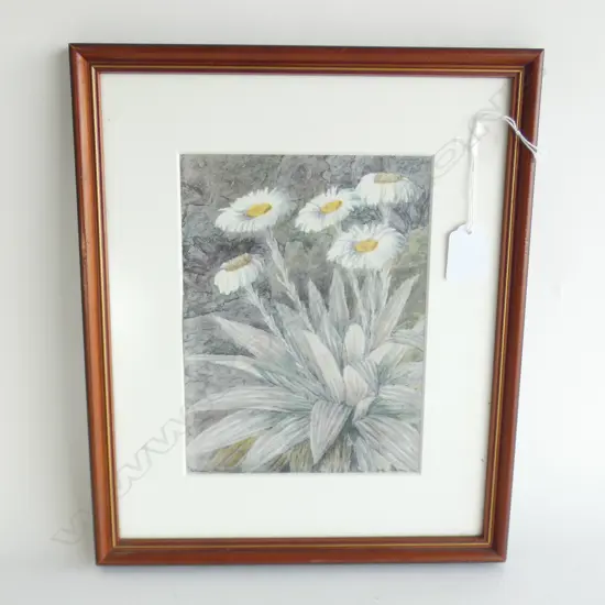 JOHN L MOORE – PRINT – MOUNTAIN DAISY 
