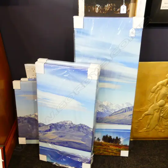 5 CANVASES WITH NZ SCENE