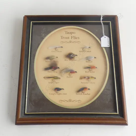 FRAMED DISPLAY 'TAUPO TROUT FLIES' x 12
